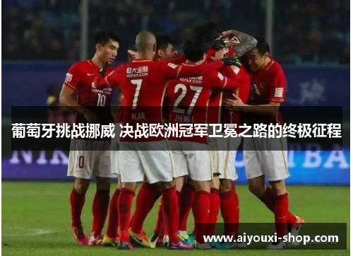 葡萄牙挑战挪威 决战欧洲冠军卫冕之路的终极征程