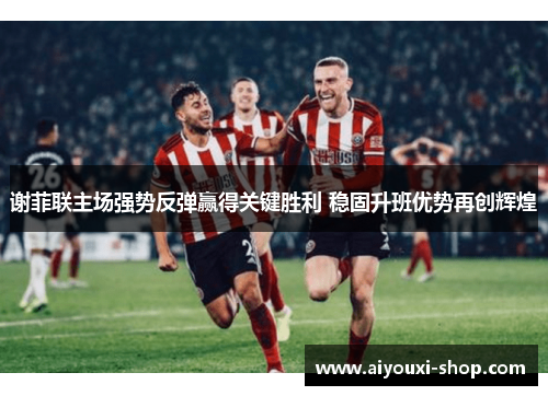 谢菲联主场强势反弹赢得关键胜利 稳固升班优势再创辉煌