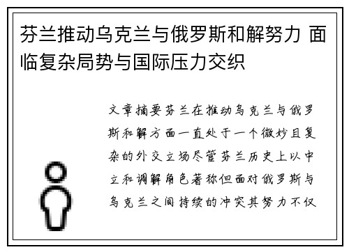 芬兰推动乌克兰与俄罗斯和解努力 面临复杂局势与国际压力交织