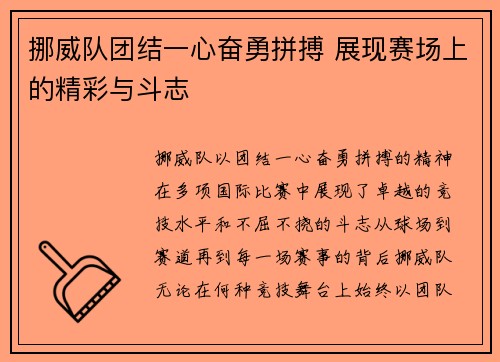 挪威队团结一心奋勇拼搏 展现赛场上的精彩与斗志