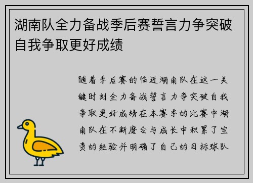湖南队全力备战季后赛誓言力争突破自我争取更好成绩